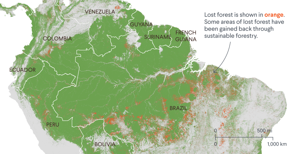 Deforestation of Brazil's Amazon Has Reached a Record High. What's Being Done? | Council on Foreign Relations