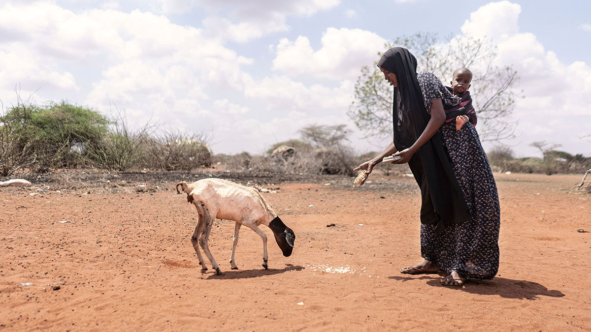 World hunger in east africa